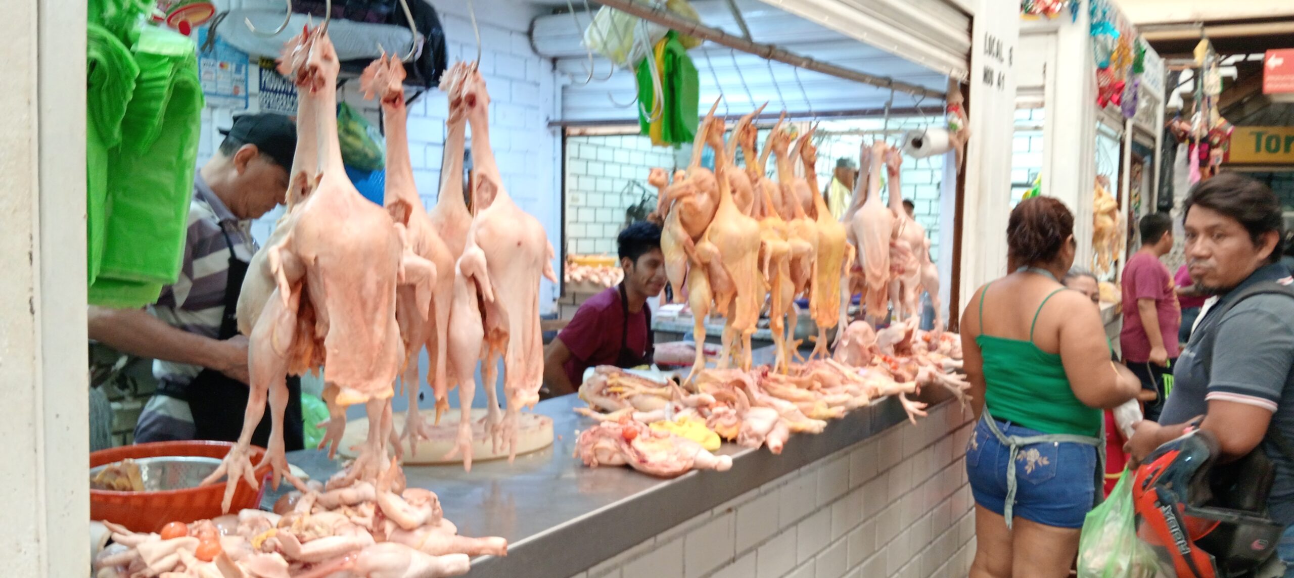 Aumenta precio del pollo y la gallina por escasez; locatarios prevén repunte en fiestas patrias