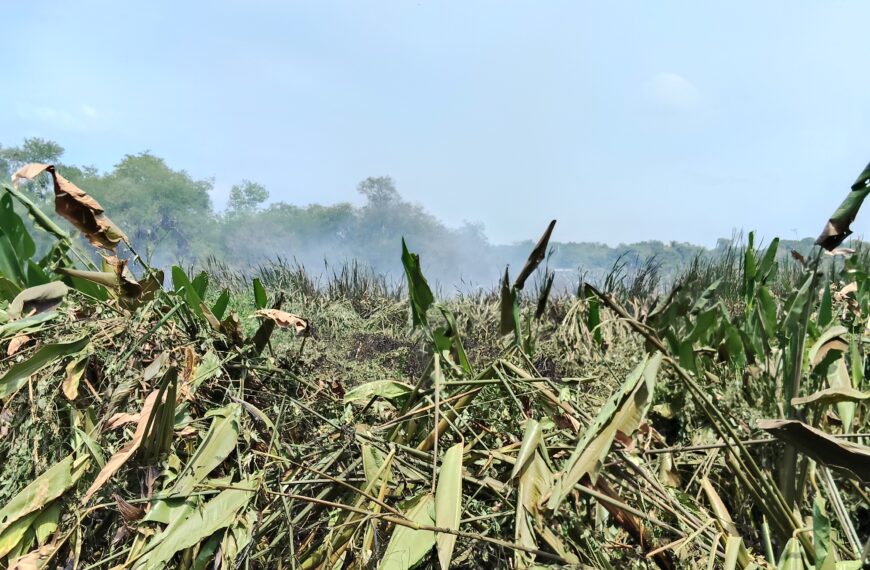 Dos incendios forestales afectan 382 hectáreas en Tabasco