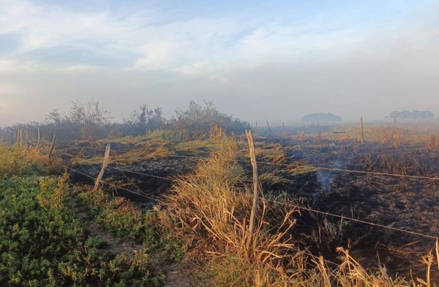 Atiende Protección Civil de Centro 270 incendios en lo que va del año