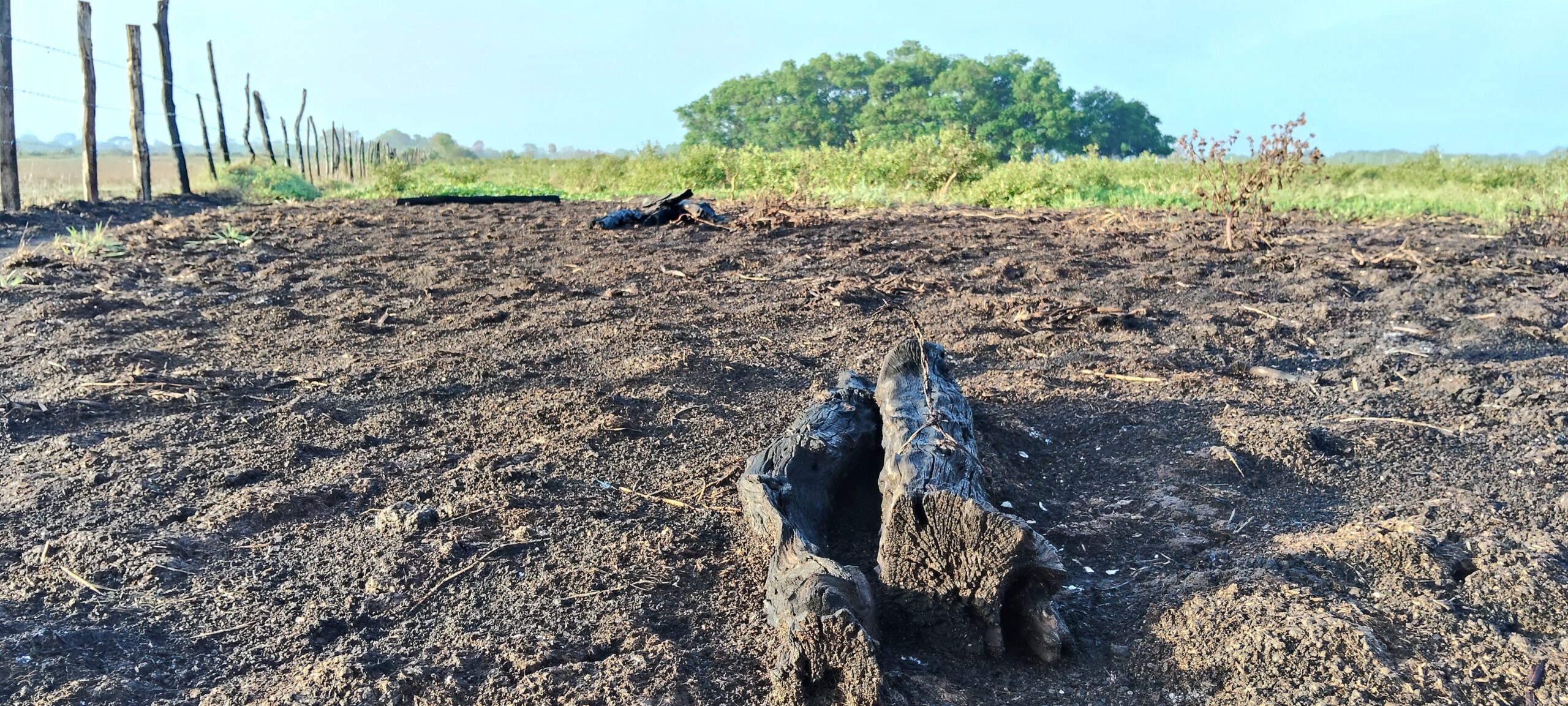 Incendio forestal deja pérdidas a ejidatarios de El Maluco; piden apoyo para recuperar parcelas
