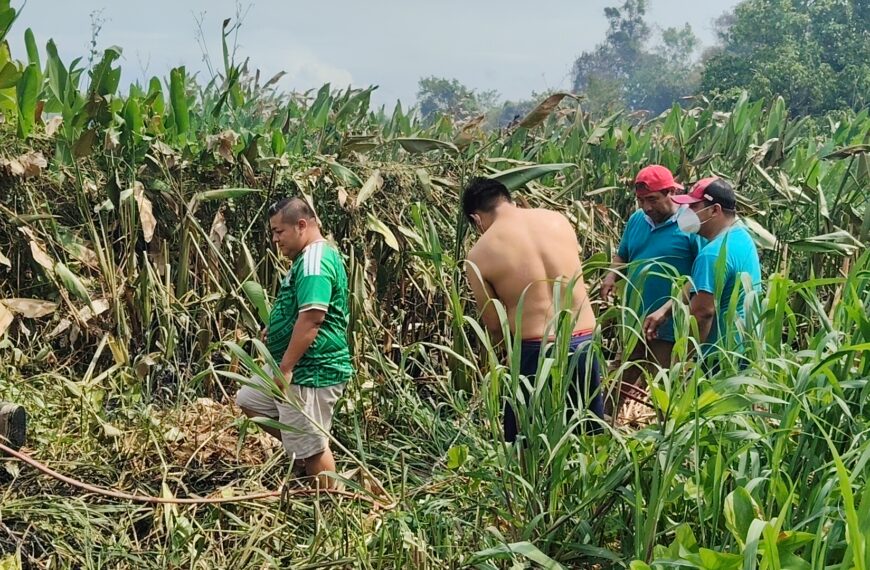 Incendios en pantanos mantienen en alerta a comunidades de la zona Yokot’an