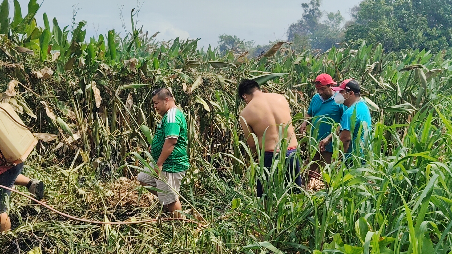 Incendios en pantanos mantienen en alerta a comunidades de la zona Yokot’an