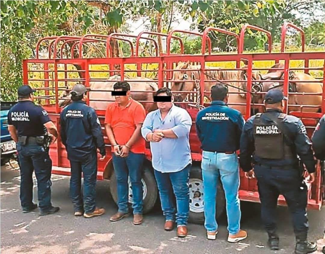 Detienen a dos hombres por presunto abigeato en Macuspana
