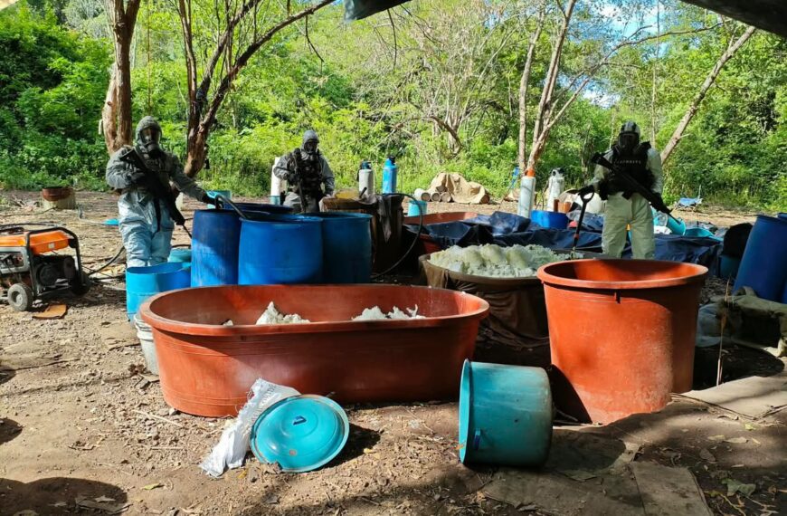 Desmantelan cuatro laboratorios clandestinos para fabricar drogas sintéticas en Michoacán y Guerrero