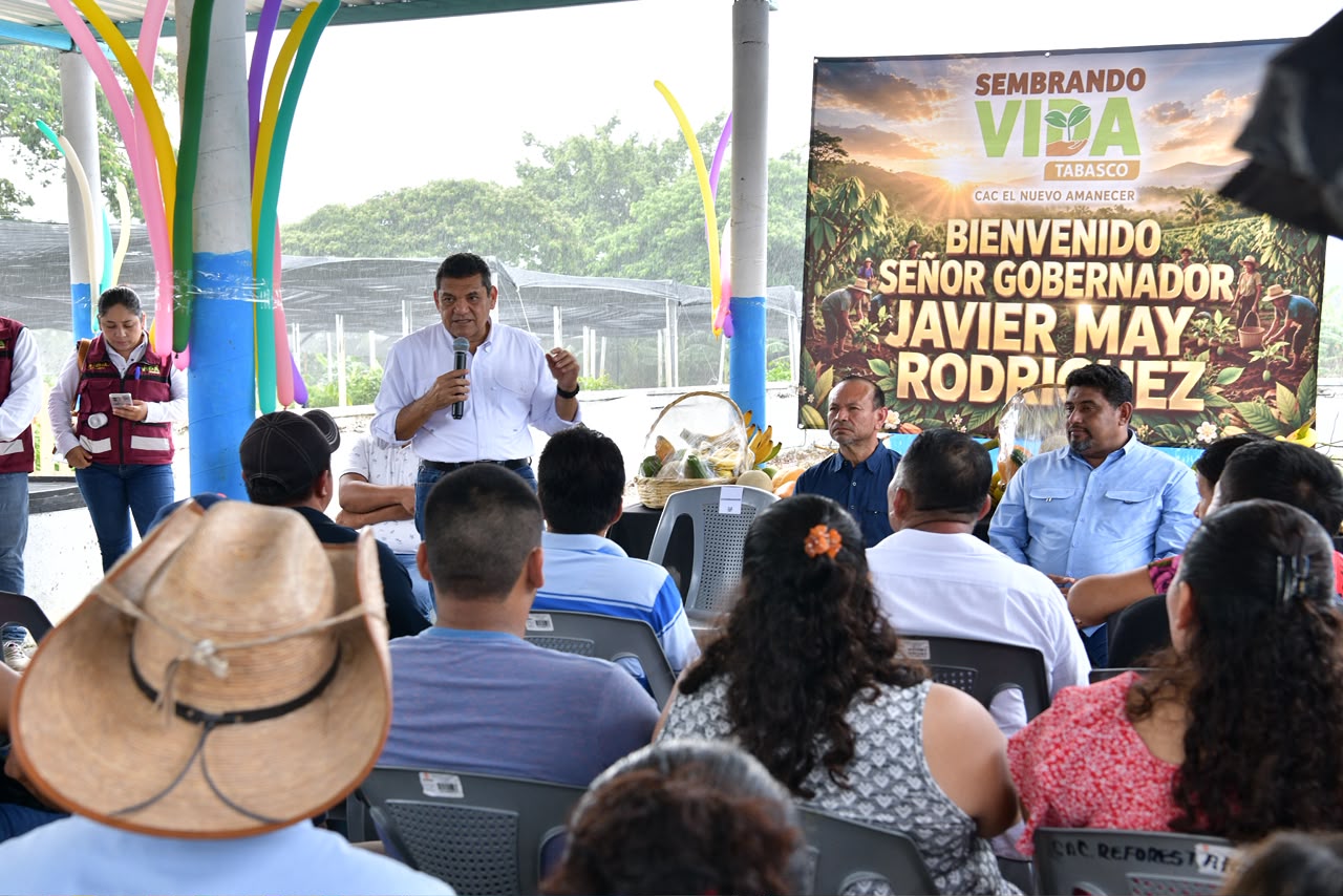 Instalarán 100 módulos de cacao en Tabasco para elevar el precio a más de $100 por kilo