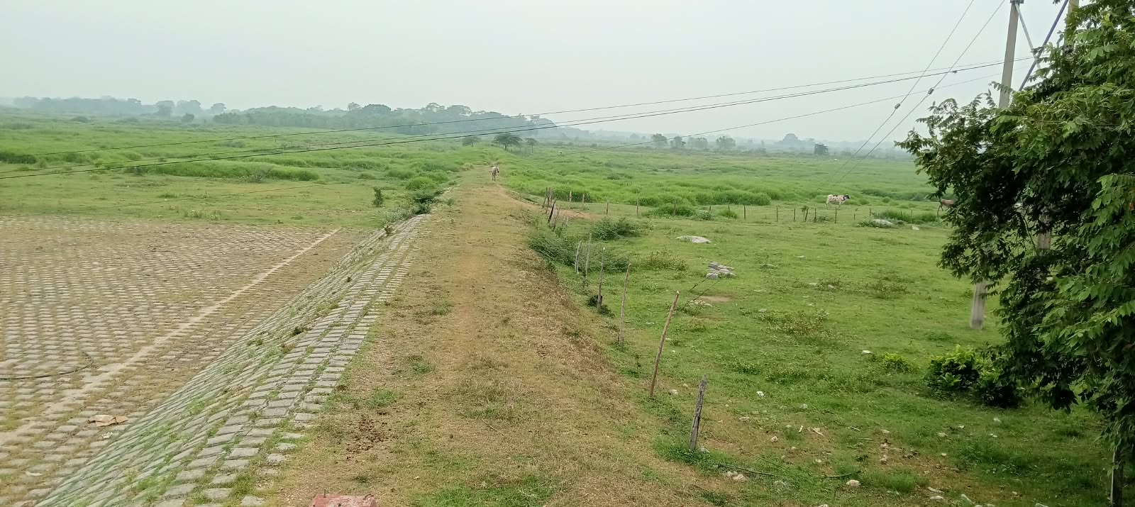 CONAGUA advierte riesgo en ríos de Tabasco por nuevo frente frío