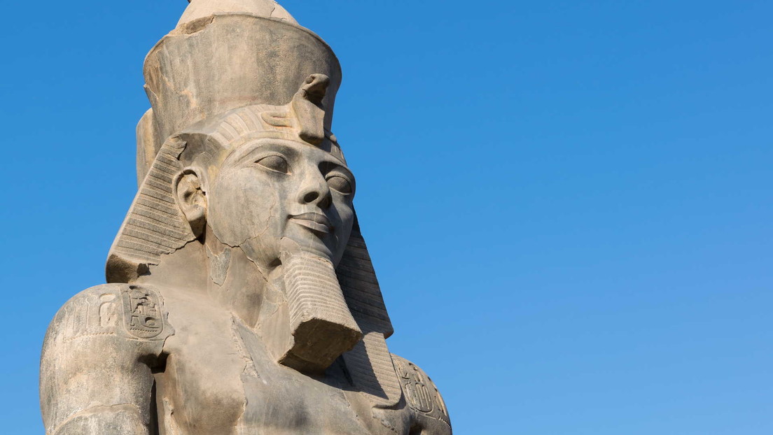 Agricultor descubre una monumental cabeza de Ramsés II mientras cultivaba pepinos en Egipto