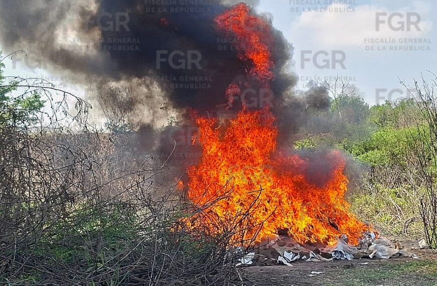 FGR incinera casi 678 kilos de narcóticos y obtiene cuatro sentencias en Tabasco