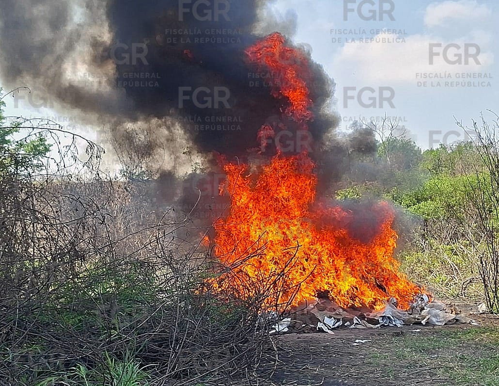 FGR incinera casi 678 kilos de narcóticos y obtiene cuatro sentencias en Tabasco