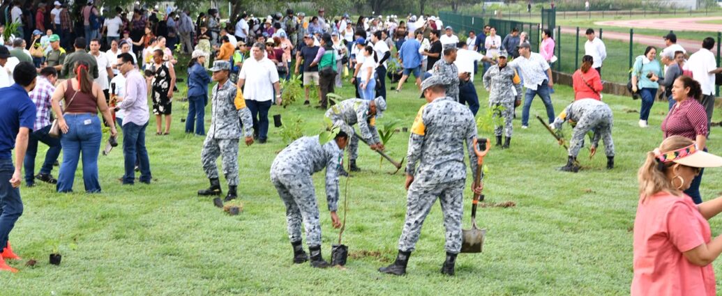 Tabasco, unido en la jornada de reforestación para sembrar 2.5 millones de árboles…