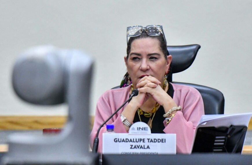 Guadalupe Taddei renuncia a la presidencia del INE en medio de señalamientos por contratos