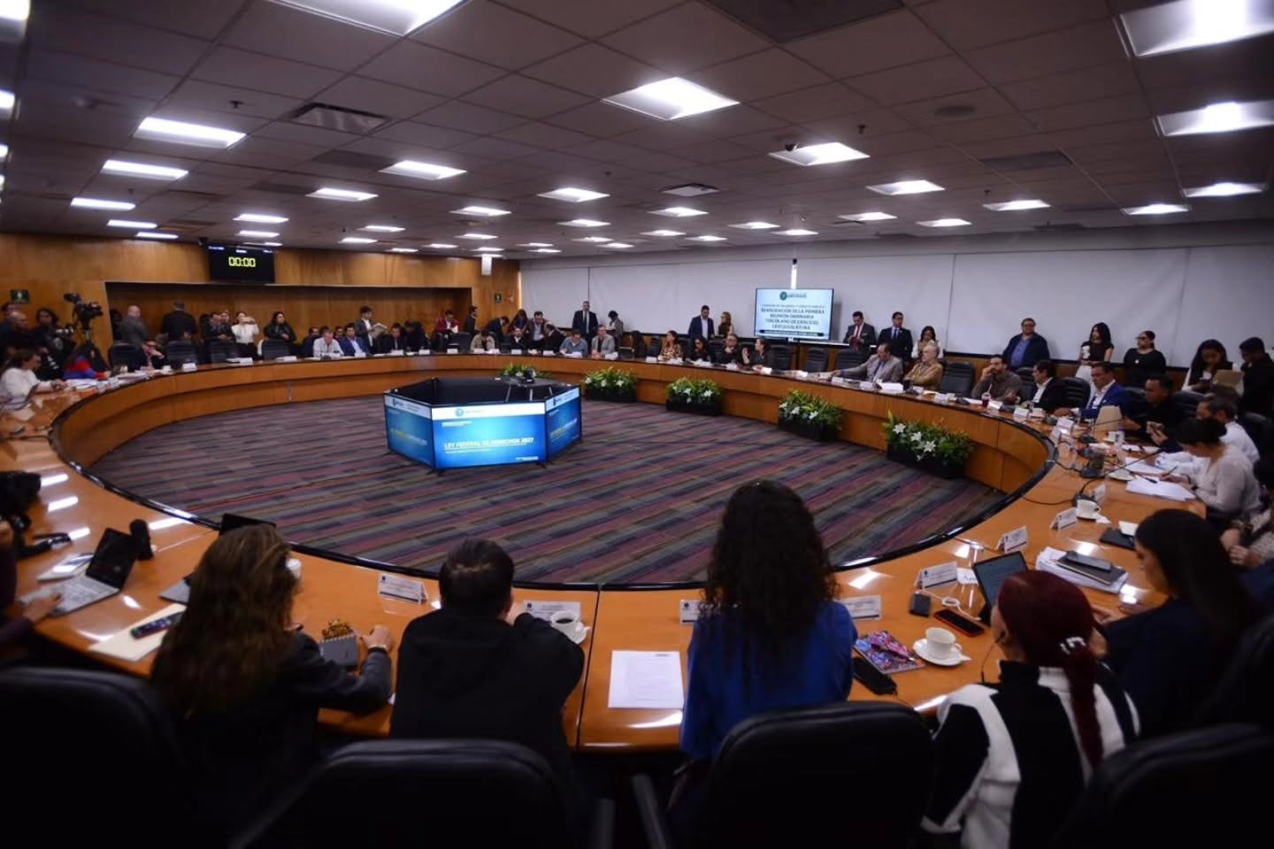 Diputados avalan reducir cobro a turistas extranjeros y aumentar recursos para Tren Maya y AIFA