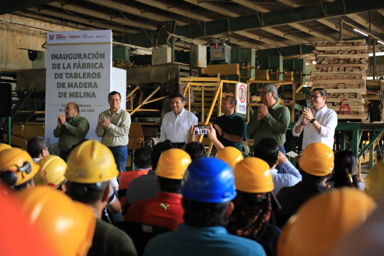 Tabasco, primer lugar nacional en plantaciones maderables: Javier May