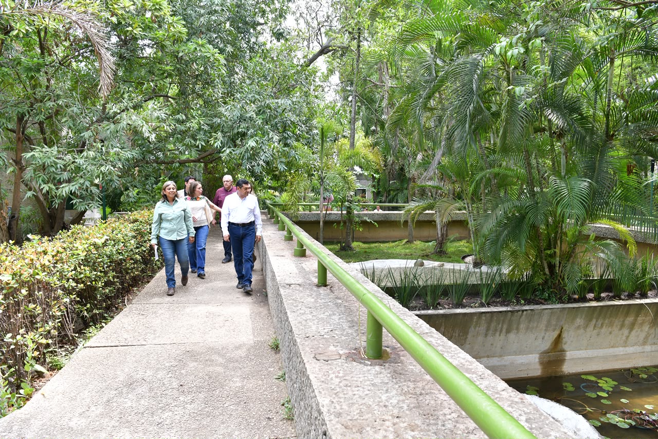 Reabrirá el Parque Museo La Venta este 26 de octubre tras inversión de 36.5 mdp