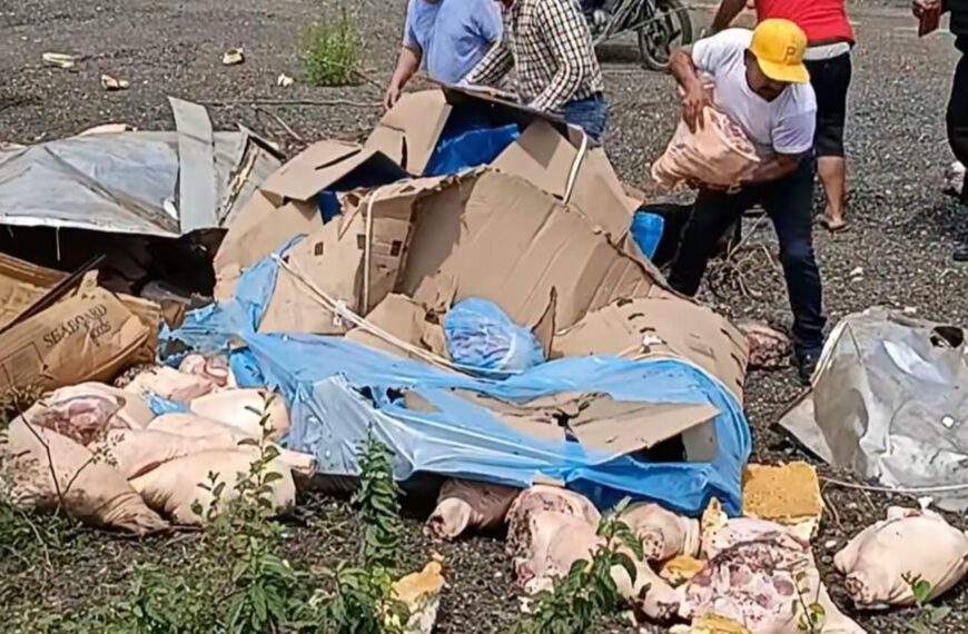 Volcadura de camioneta con carne de cerdo provoca rapiña en la Villahermosa-Macuspana