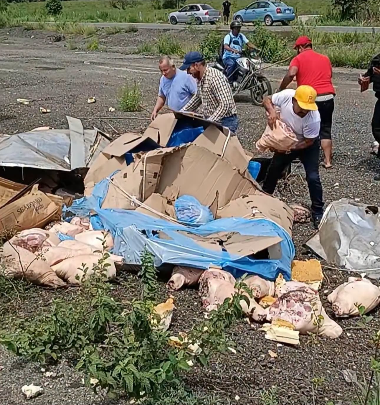 Volcadura de camioneta con carne de cerdo provoca rapiña en la Villahermosa-Macuspana