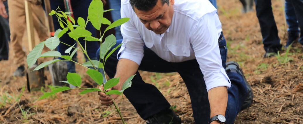 Arranca Jornada de Reforestación 2026: Tabasco busca recuperar bosques con 2.5 millones de nuevos árboles…