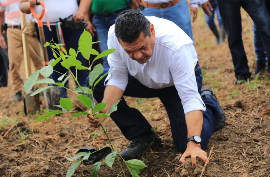 Arranca Jornada de Reforestación 2026: Tabasco busca recuperar bosques con 2.5 millones de nuevos árboles…