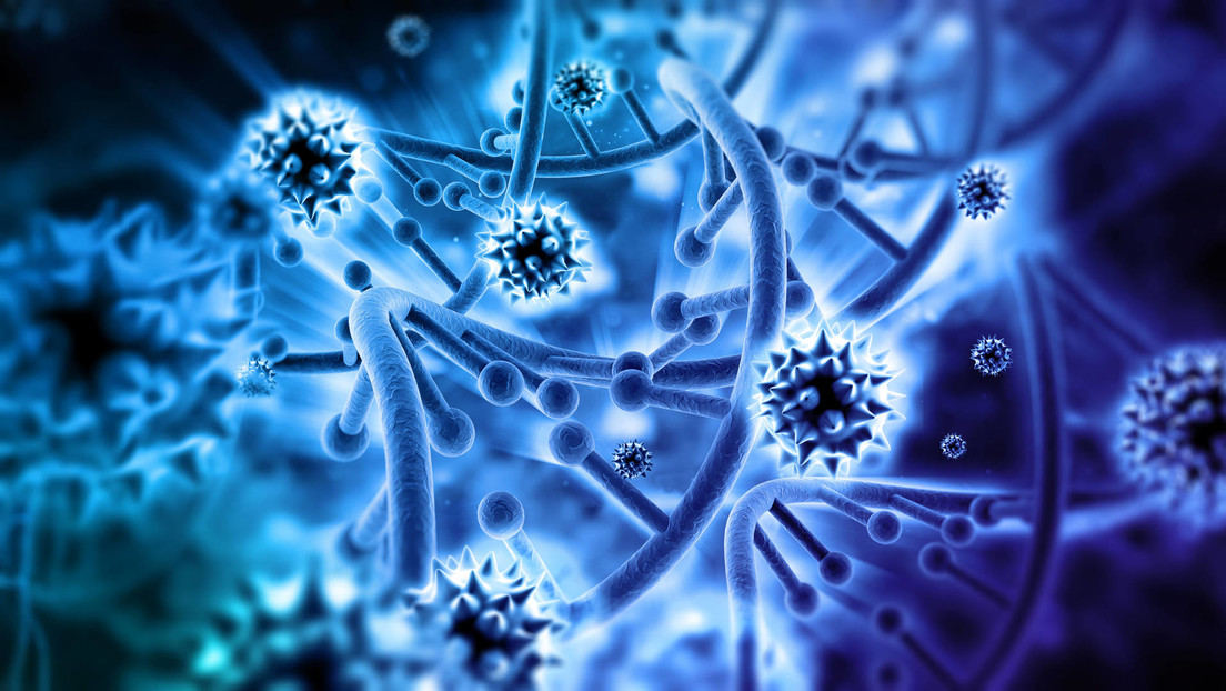 Descubren más de 11 mil virus en el fondo del Pacífico; 99% eran desconocidos
