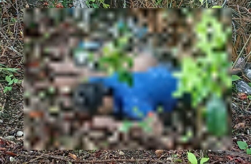 Localizan sin vida a dos jóvenes reportados como desaparecidos en Palenque