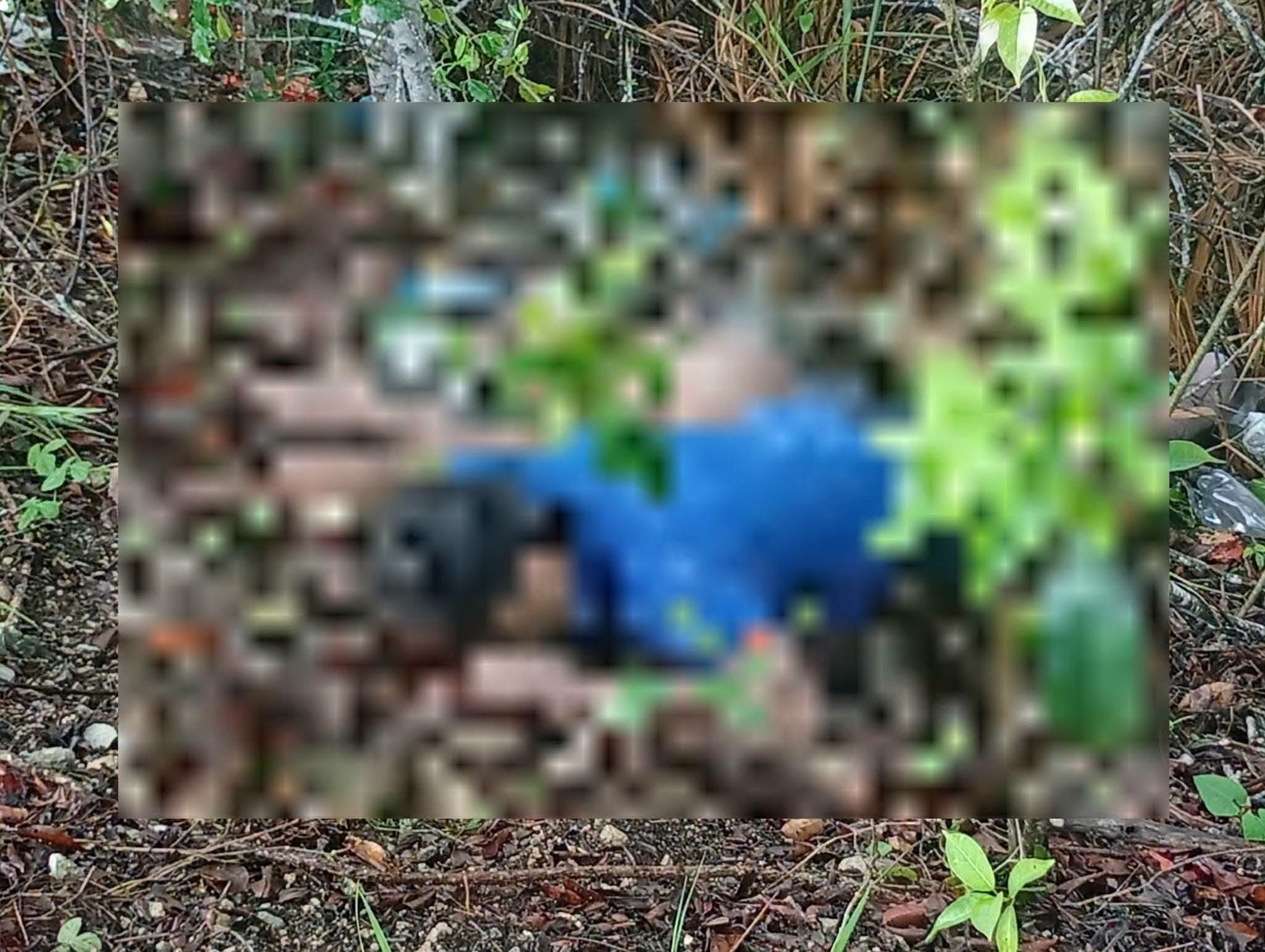 Localizan sin vida a dos jóvenes reportados como desaparecidos en Palenque
