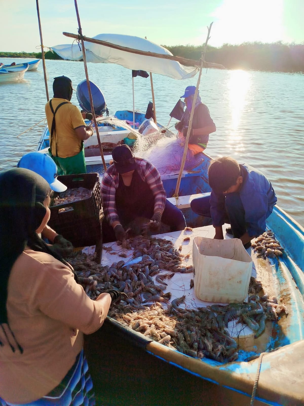 Pescadores de Campeche piden reforzar vigilancia ante inicio de la veda del camarón
