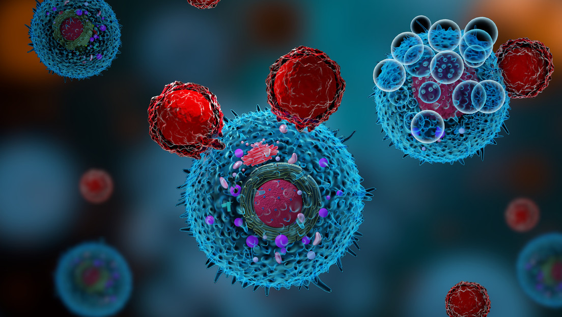 Descubren compuesto que podría reactivar el sistema inmunitario contra el cáncer