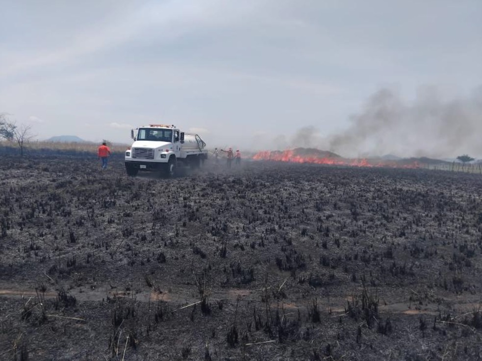 Atienden múltiples incendios forestales en Chiapas; La Frailesca, la región más afectada