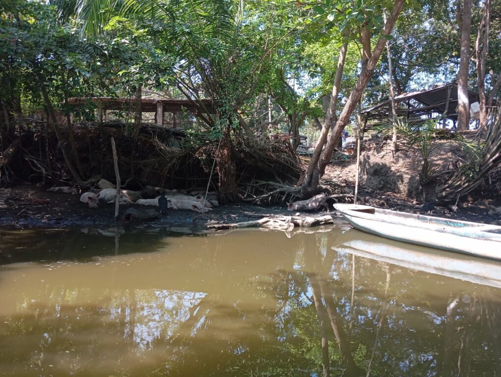 Alerta ambiental en Tapachula: ríos de la ciudad presentan contaminación total y riesgo sanitario, advierte investigador