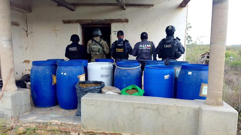 Aseguran media tonelada de presunta marihuana y recuperan vehículo robado en operativos en Chiapas