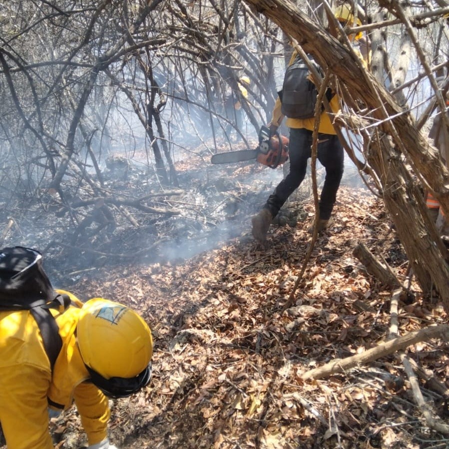 Aumenta 345 % la superficie afectada por incendios en Chiapas durante 2026