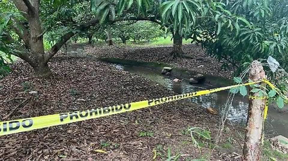 Avanzan investigaciones por asesinato de docente en Chiapas; vinculan a presunta autora intelectual