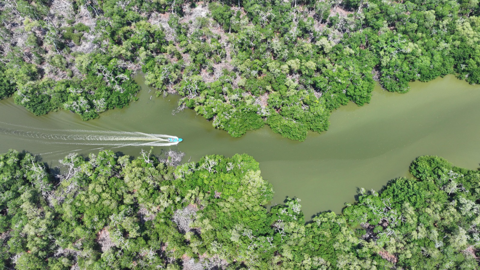 Declaran Área Natural Protegida a “Cinco Lagunas”; blindan más de 3 mil hectáreas de manglares en Comalcalco