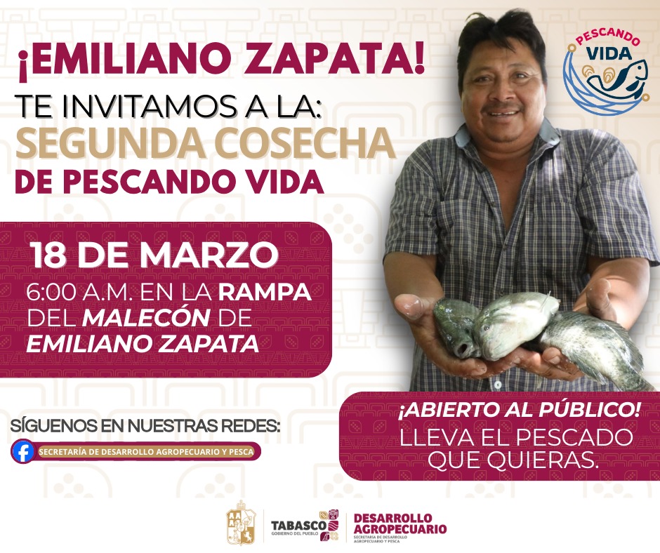 Llevarán a cabo segunda cosecha del programa “Pescando Vida” en Emiliano Zapata