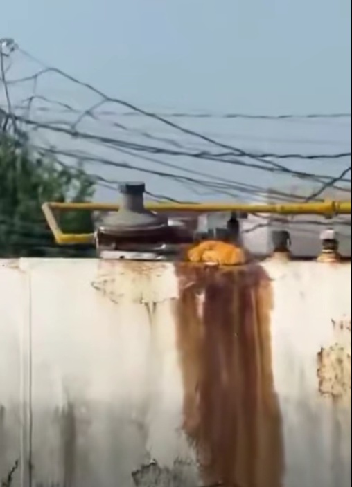 Vecinos de fraccionamientos Olmeca y Lagunas alertan por fuga de gas en tortillería
