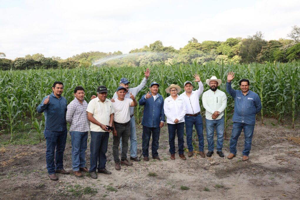 Agua, trabajo y futuro: riego gubernamental fortalece la producción de maíz y cacao de Huimanguillo y Cárdenas