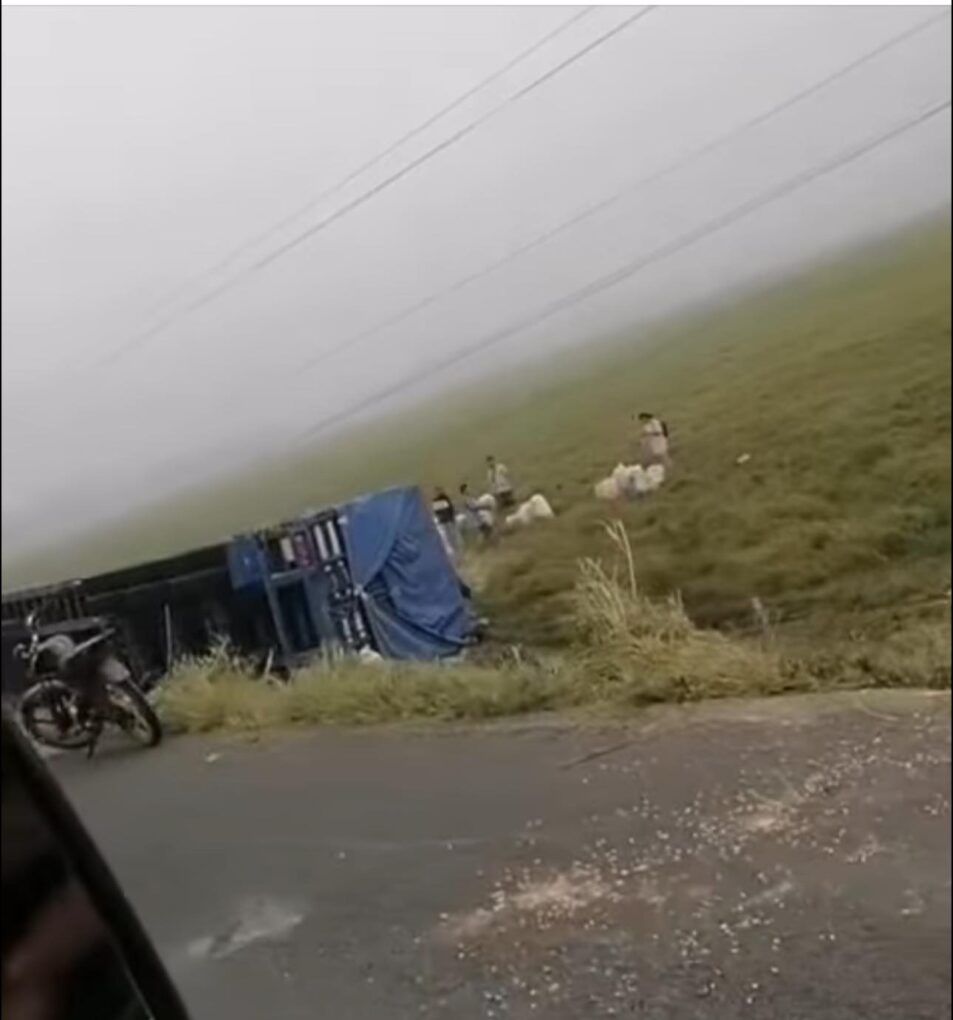 Tráiler cargado con maíz se sale del camino en la carretera Huimanguillo–Chontalpa; se registra rapiña