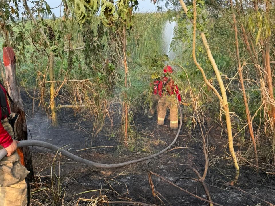 Controlan incendio de pastizal en inmediaciones de la Laguna El Negro en Villahermosa