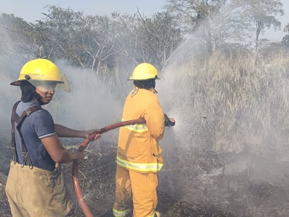 Atienden múltiples incendios de pastizal en Centro; autoridades exhortan a evitar quemas