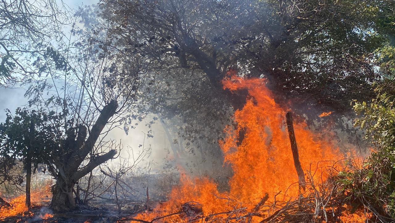 Se incendia tráiler de Estafeta en carretera Villamar-Champotón; reportan otros dos siniestros en la zona