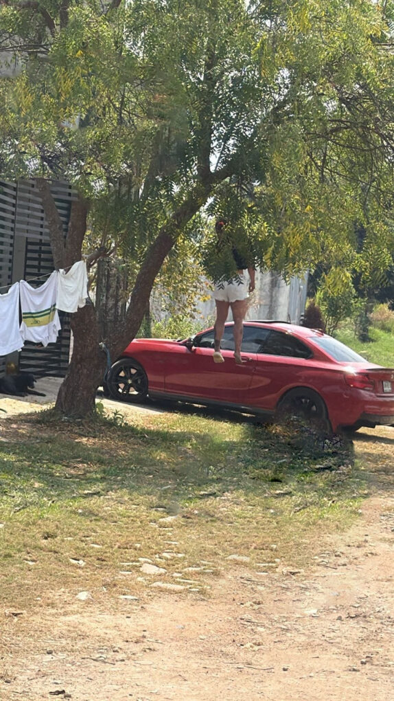 Mujer pierde la vida en presunto suicidio en la ranchería El Guapinol, Centro