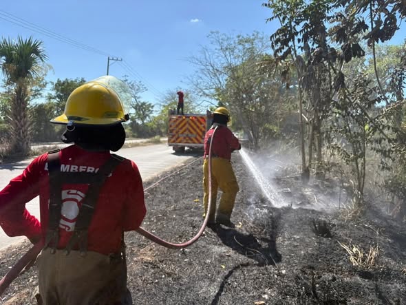 Sofocan incendio de pastizal en la carretera Villahermosa–Frontera; no se reportan lesionados