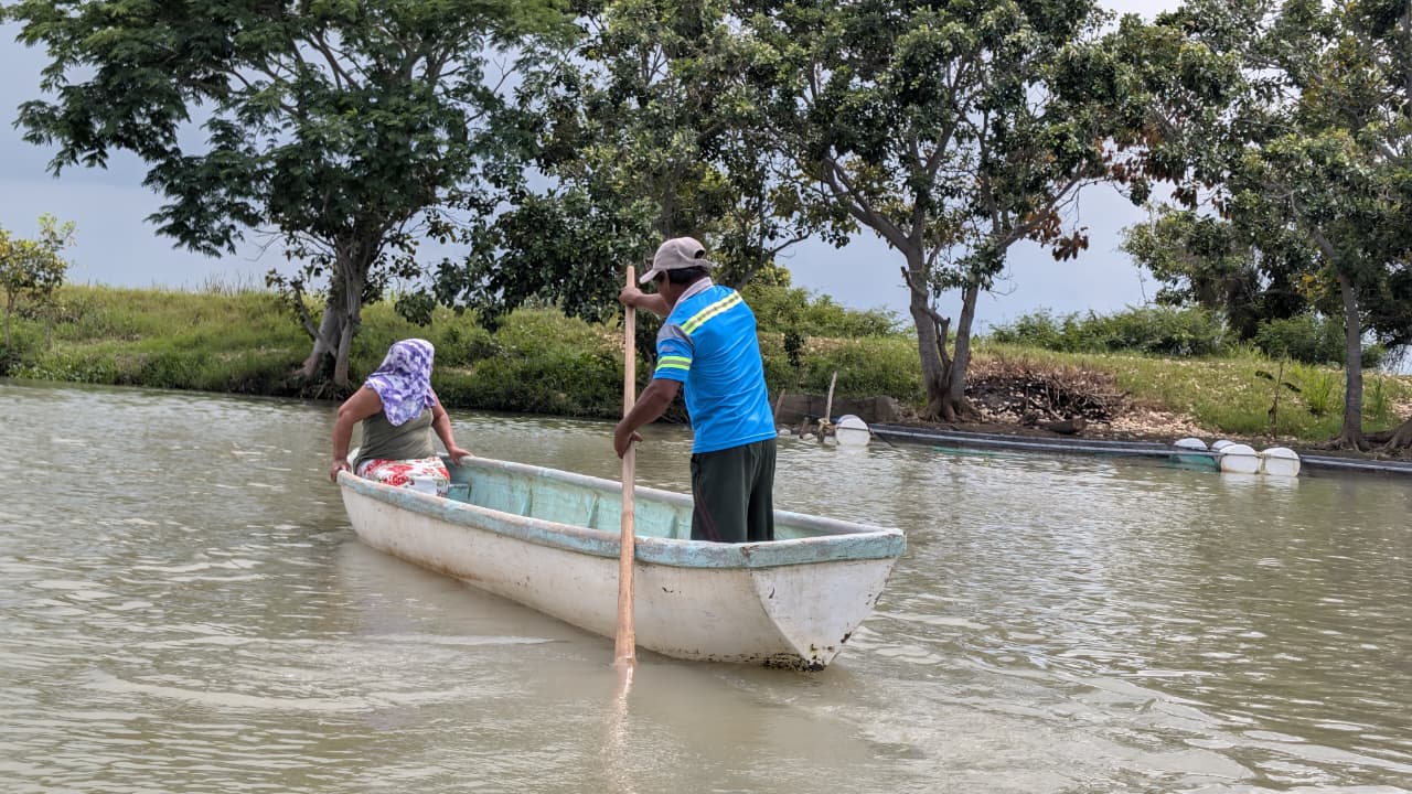SEDAP supervisa avances del programa Pescando Vida en comunidades acuícolas de Nacajuca
