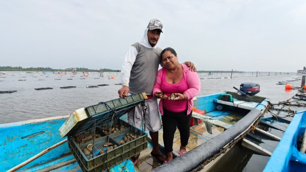 Producción de mojarra en Tabasco superará las 3 mil toneladas; impulsan consumo local en Cuaresma