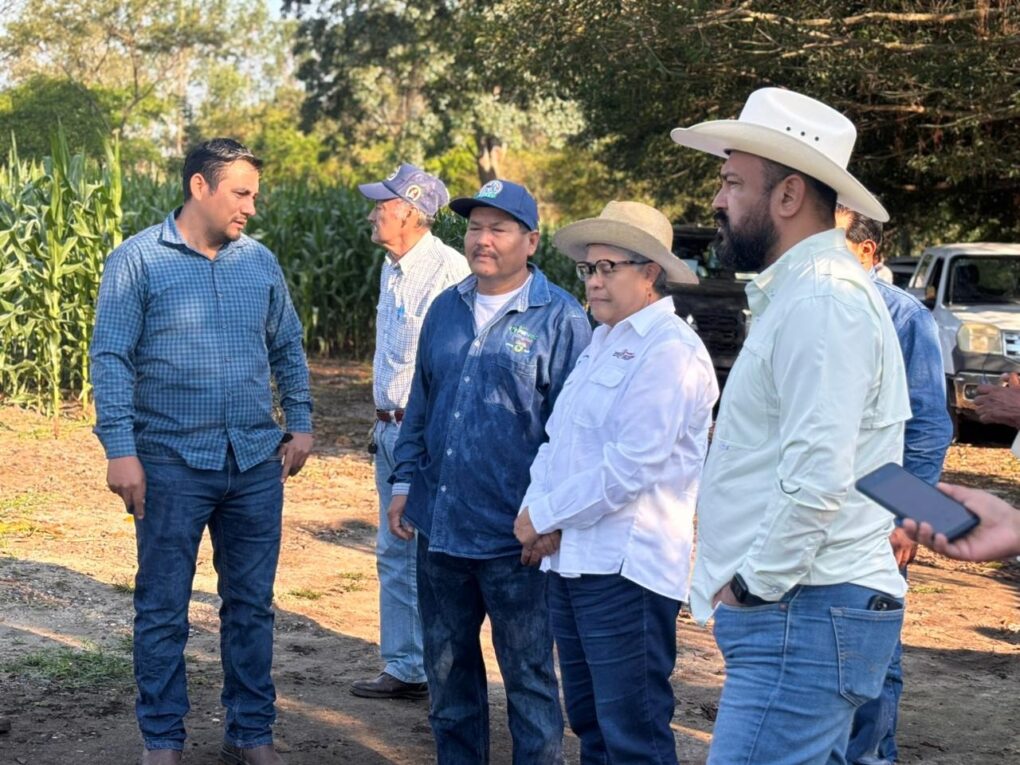 Invita SEDAP a productores a participar en el Segundo Concurso de la Mazorca de Maíz Criollo en la Feria Tabasco 2026