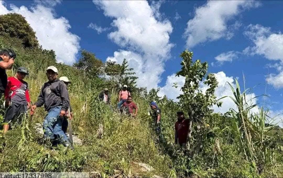 Continúa intensa búsqueda de Juliana López Cruz, niña desaparecida en Tila, Chiapas
