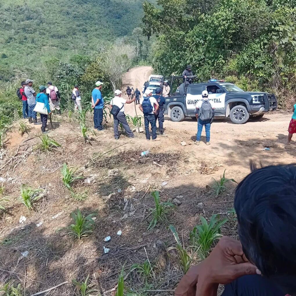 Reactivan búsqueda de menor desaparecida en Tila, Chiapas; continúan operativos sin resultados positivos