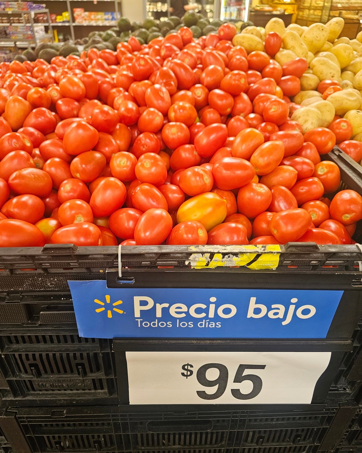 Precio del tomate se dispara; comerciantes reportan pérdidas por calor y mala calidad