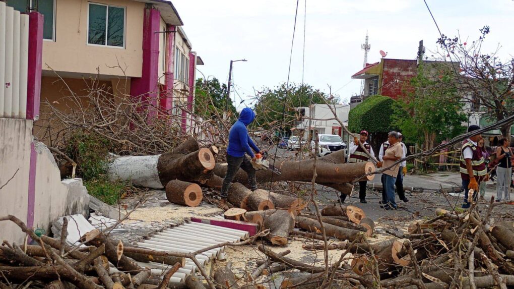 Saldo blanco en Veracruz tras fuertes vientos por Frente Frío 41; autoridades atienden más de 150 incidentes