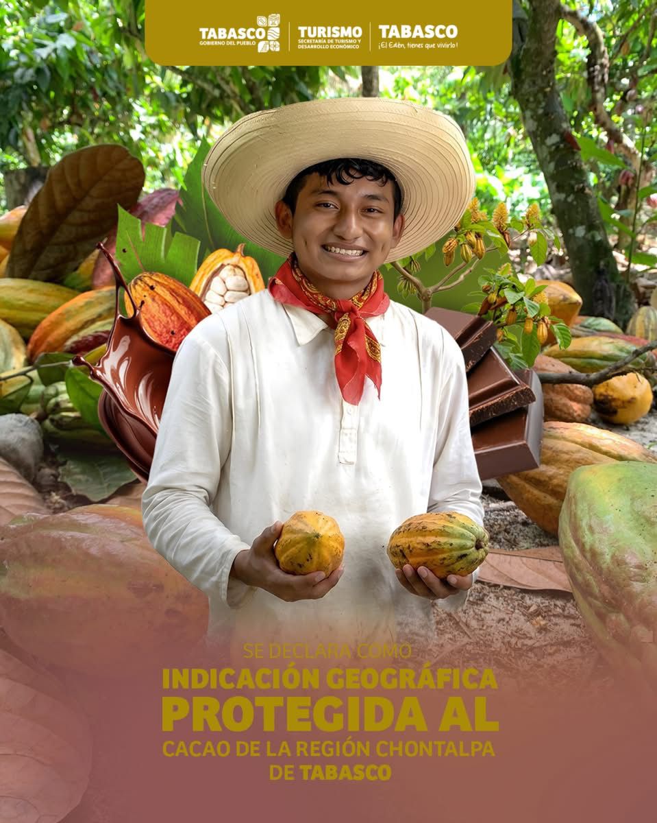 Histórico: IMPI declara al Cacao de la Chontalpa como “Indicación Geográfica Protegida”, por origen, calidad y legado de generaciones…